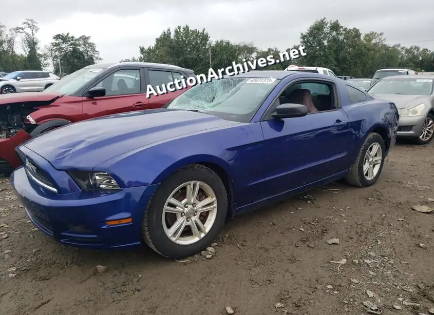 FORD MUSTANG 2014 VIN: 1ZVBP8AM9E5319439