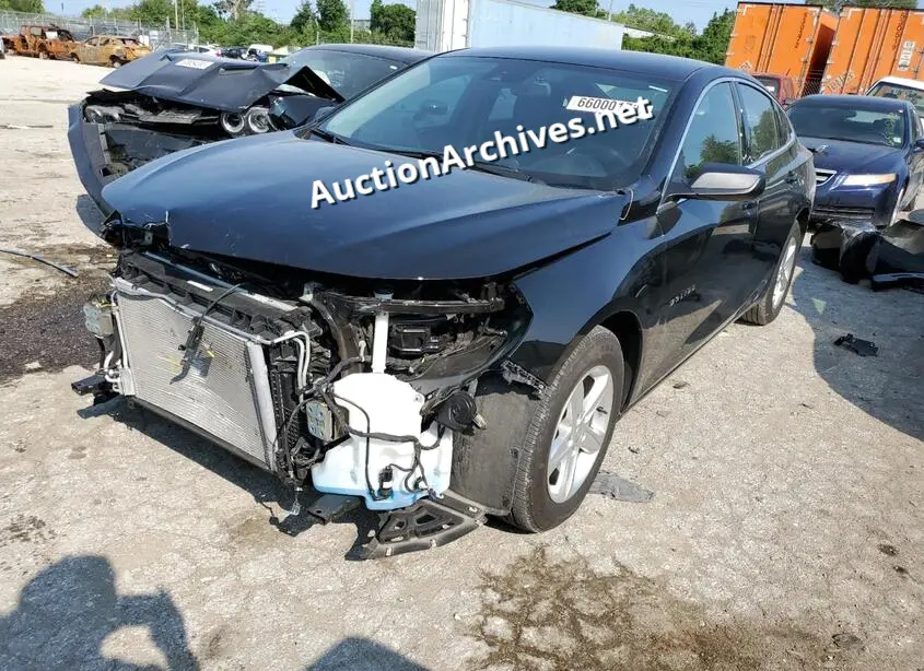 CHEVROLET MALIBU LS 2023 VIN: 1G1ZB5ST6PF118947