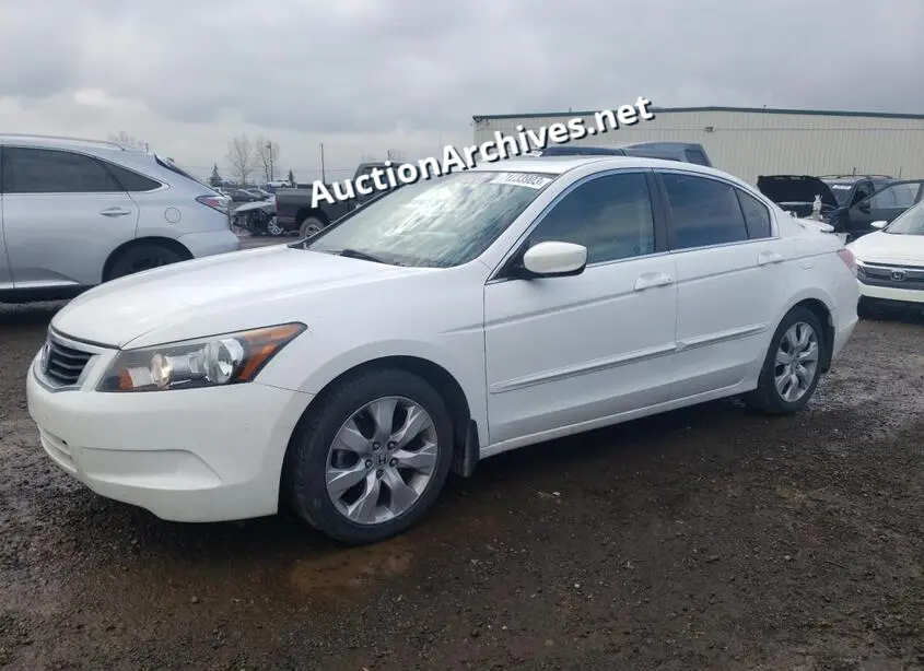 HONDA ACCORD EXL 2009 VIN: 1HGCP26839A801919