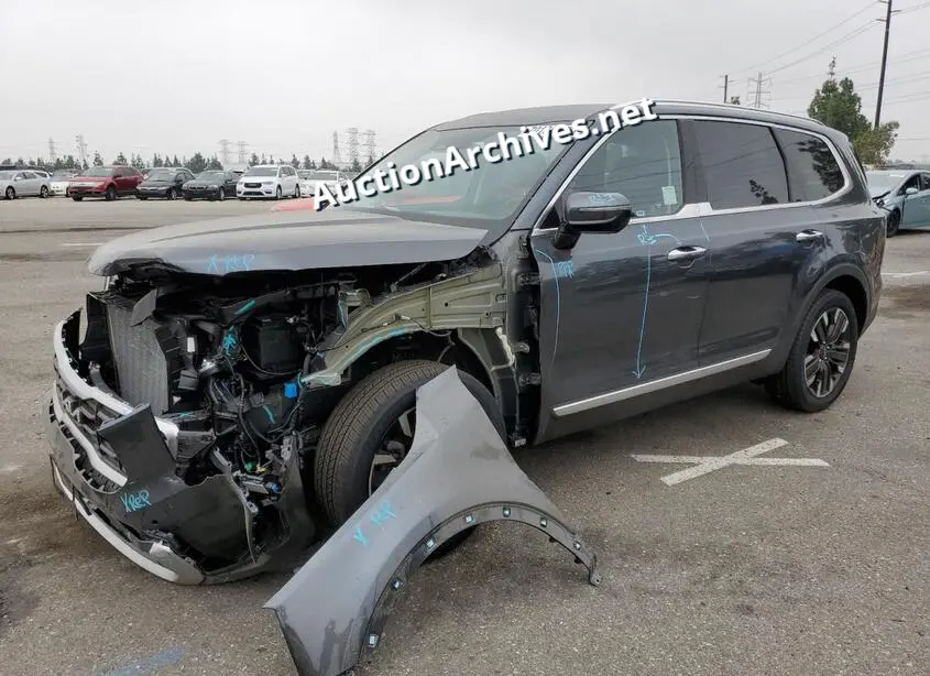 KIA TELLURIDE 2024 VIN: 5XYP5DGC0RG417469