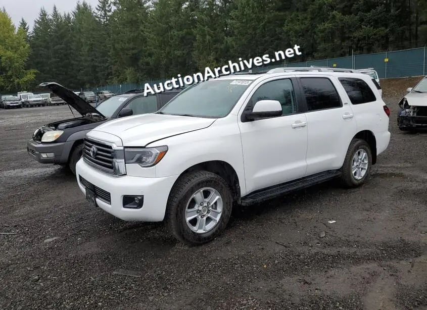 TOYOTA SEQUOIA SR 2019 VIN: 5TDBY5G17KS167923