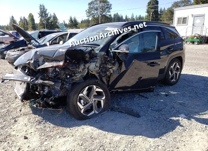 HYUNDAI TUCSON LIM 2023 VIN: KM8JECA14PU129260
