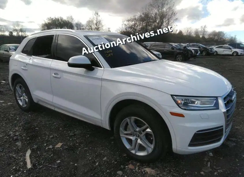 AUDI Q5 PREMIUM 2019 VIN: WA1ANAFY7K2133428